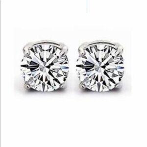 Magnetic Stud Earrings
